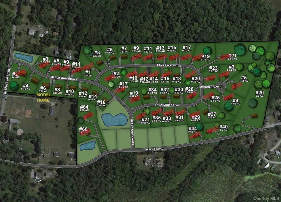 9 Black Gum Court, Newburgh, NY 12550 - #3