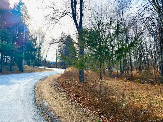 56 Route 209, Port Jervis, NY 12771 - Image #1