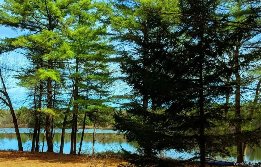 592 Proctor Road, Glen Spey, NY 12737 - #3