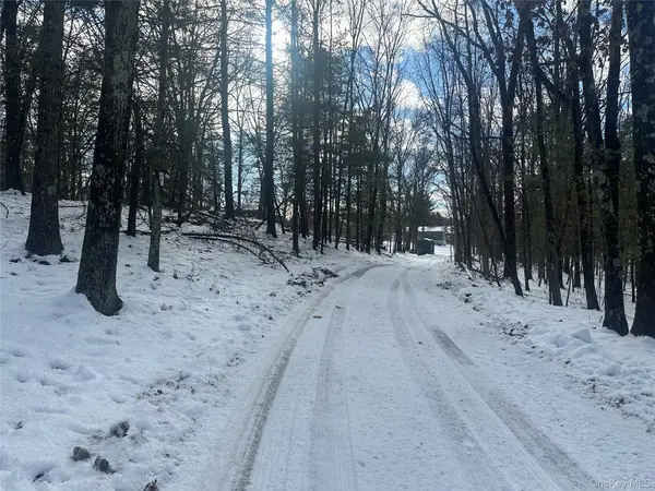 Cedar Drive, Elizaville, NY 12523