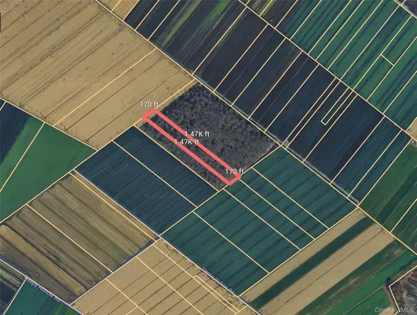 Gale Street, Florida, NY 10924