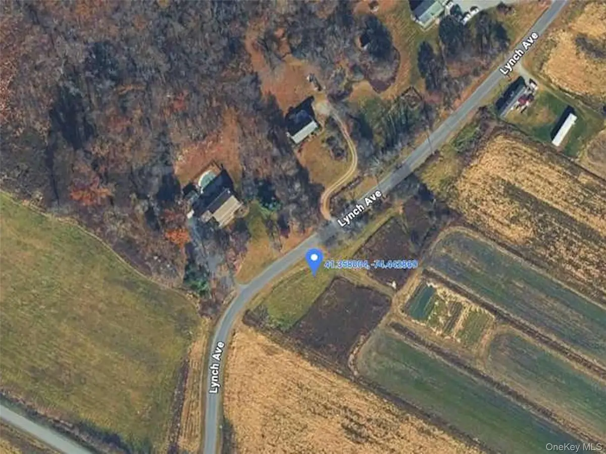 0 Lynch Avenue, New Hampton, NY 10958 - Image #1