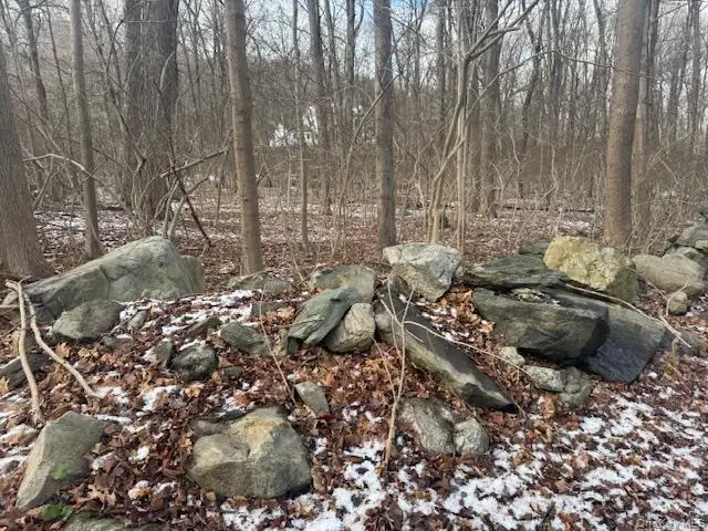 Eder Road, Stormville, NY 12582 - Image #3