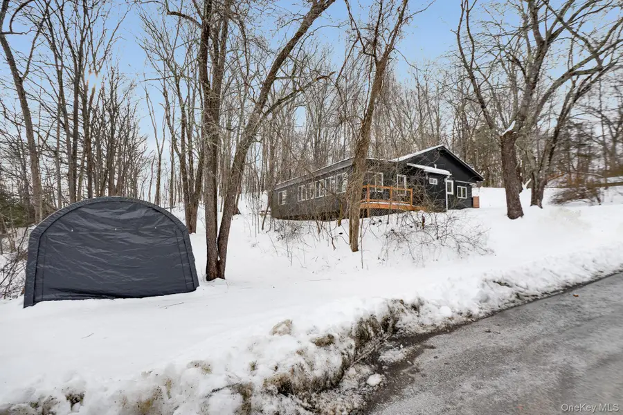 62 Netherwood Plaza, Pleasant Valley Town, NY 12578 - Image #3