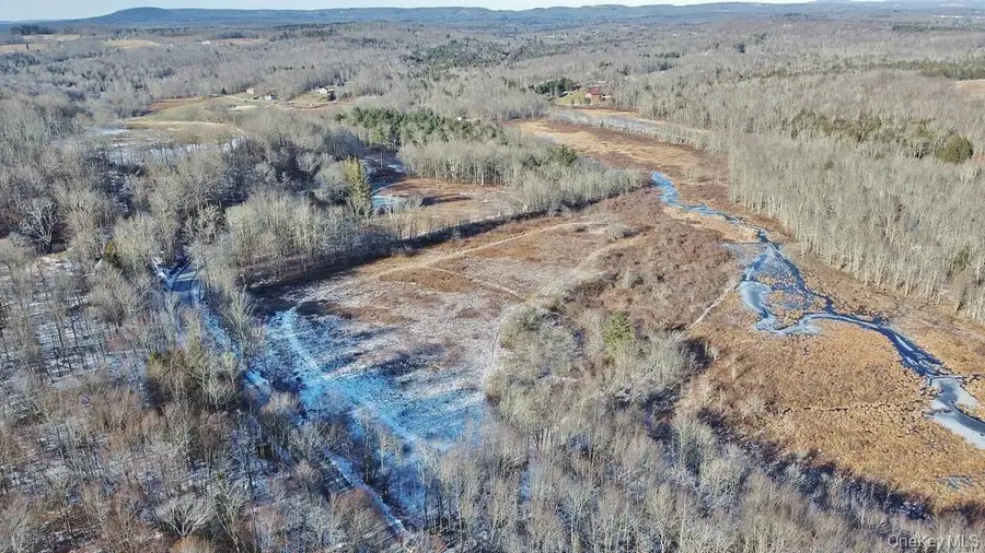 000 Mongaup Road, Fallsburg, NY 12733 - Image #2