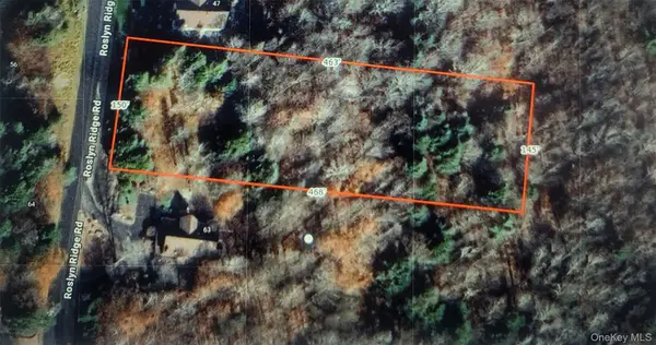 000 Roslyn Ridge Road, Mongaup Valley, NY 12720