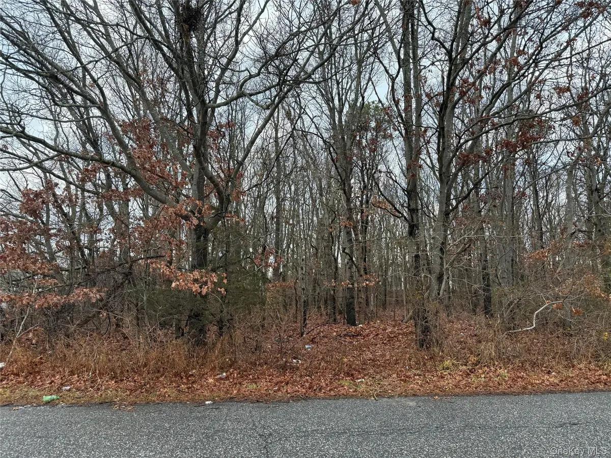 Palmetto Drive, Shirley, NY 11967 - Image #1