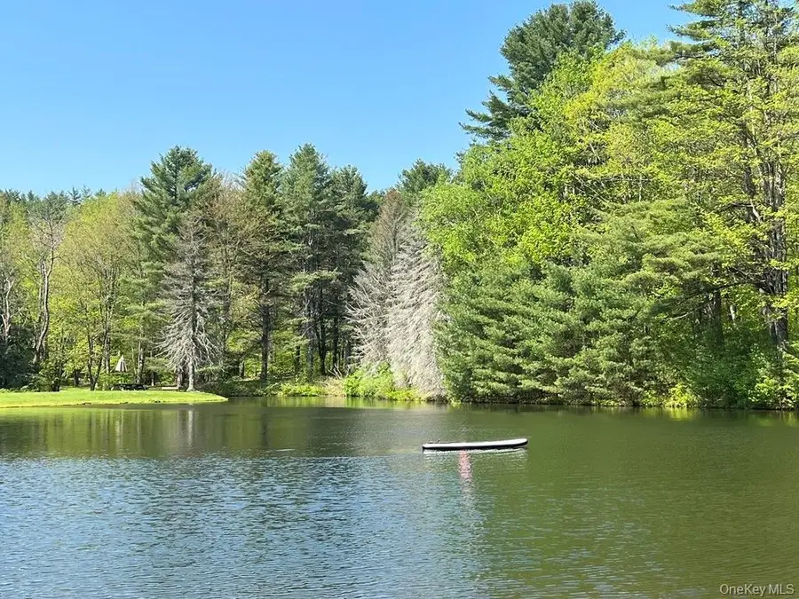 1837 Rich Road, Franklin, NY 13820 - #2