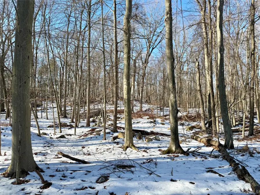 8 Maple Ridge Trail, North Salem, NY 10560 - Image #3