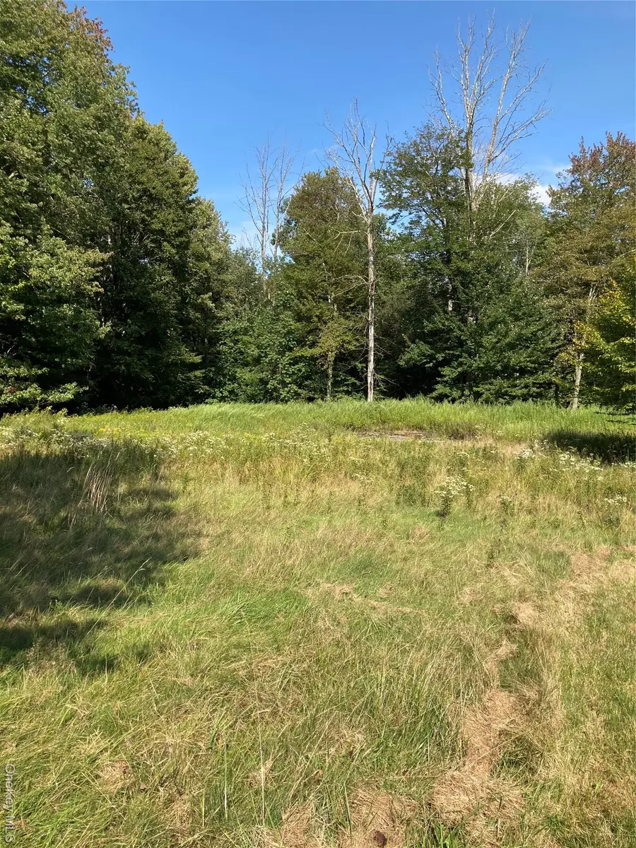 699 Budd Road, Woodbourne, NY 12788 - #3