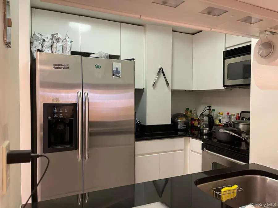 88 Cuttermill Road #308, Great Neck, NY 11021 - Image #3