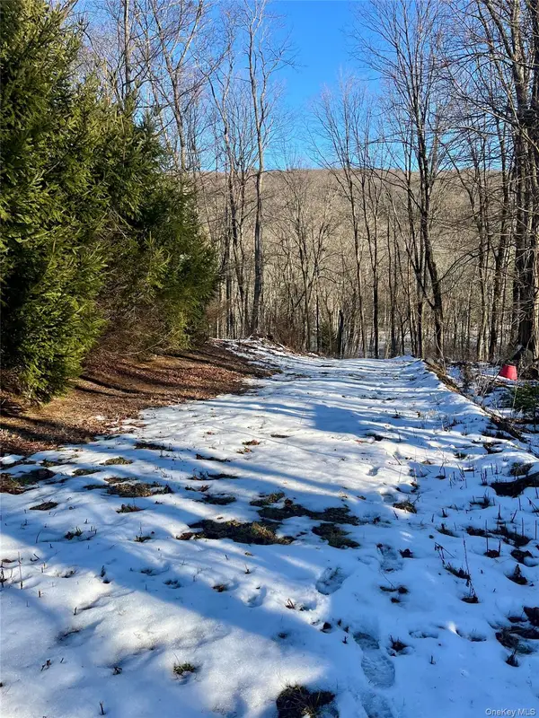 80 Nelson Road, Greenwood Lake, NY 10925