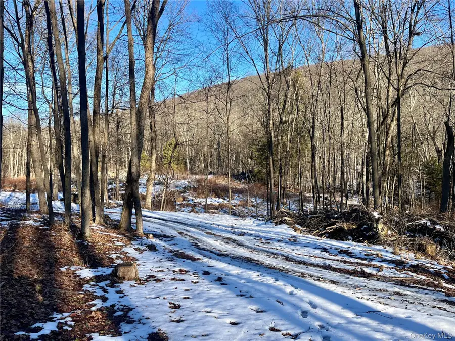 80 Nelson Road, Greenwood Lake, NY 10925 - Image #2