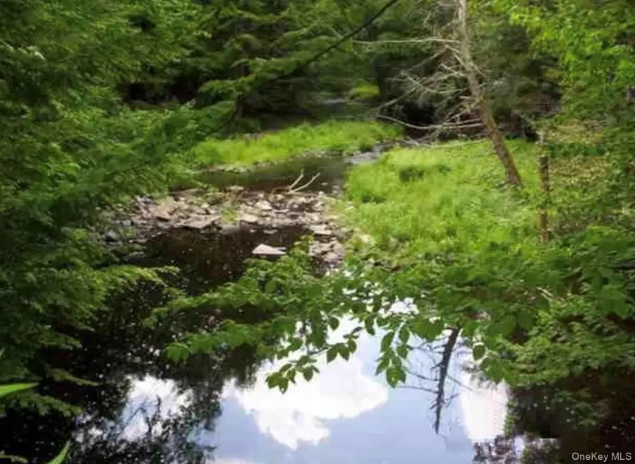 0 Huschke Road Road, Loch Sheldrake, NY 12733 - Image #2