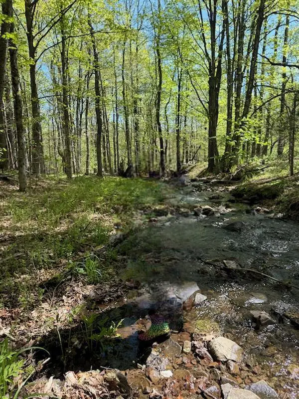 Cr 92, Roscoe, NY 12736 - Image #1