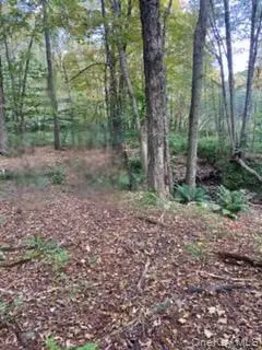 Cr 92, Roscoe, NY 12736 - Image #2