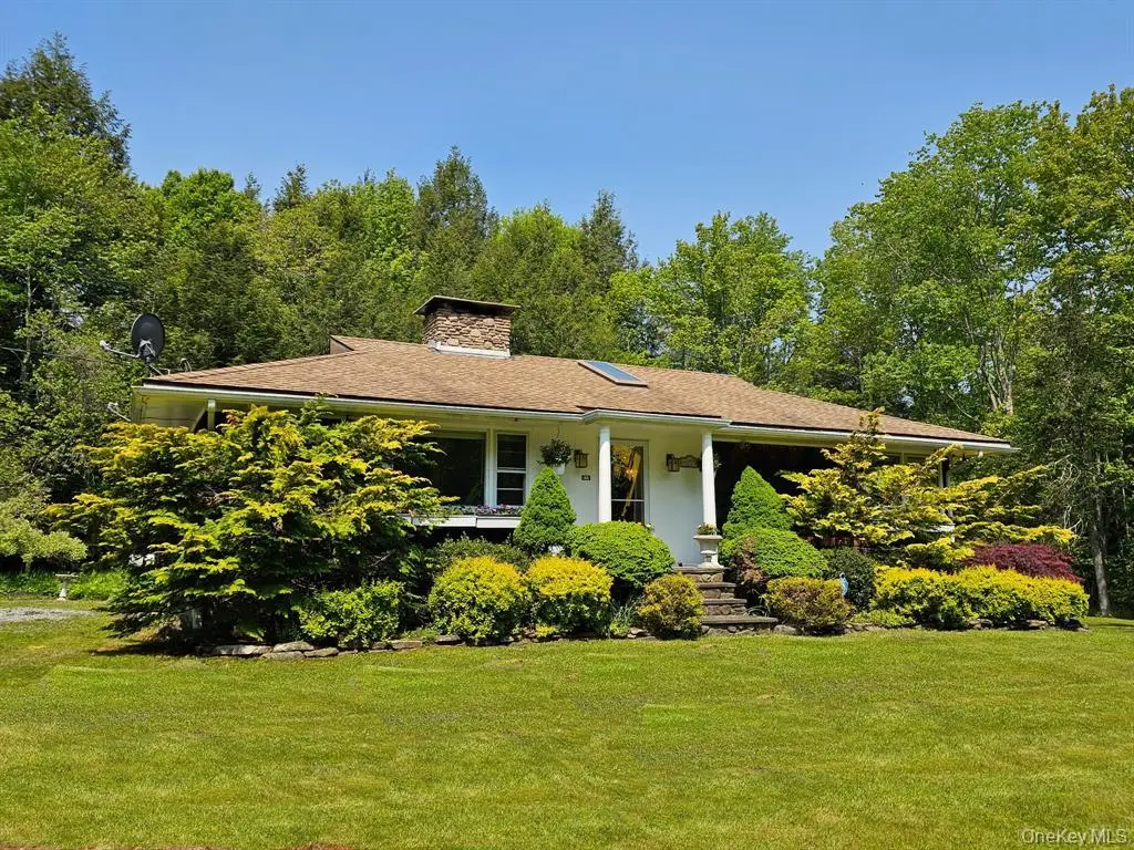 172 Wards Road, Livingston Manor, NY 12758 - Image #1