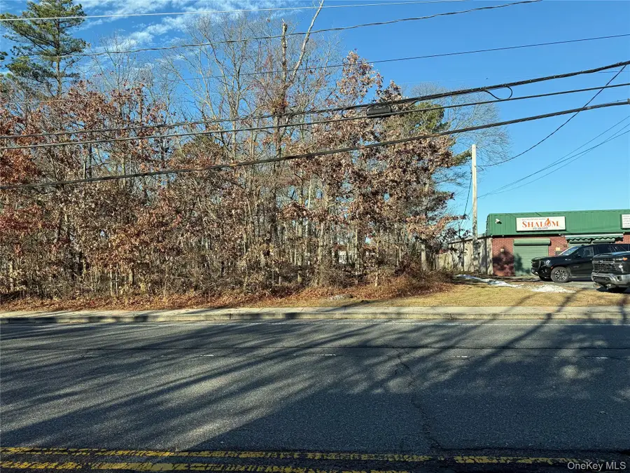 Vacant Land Mastic Road, Shirley, NY 11967 - Image #3