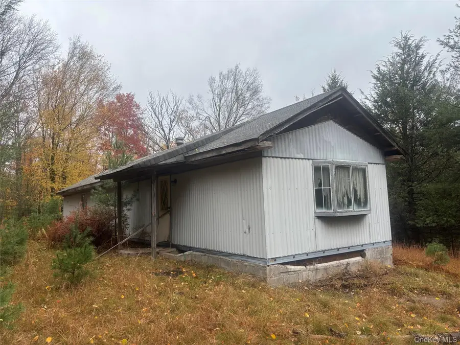 296 Southwoods Drive, Monticello, NY 12701 - Image #3