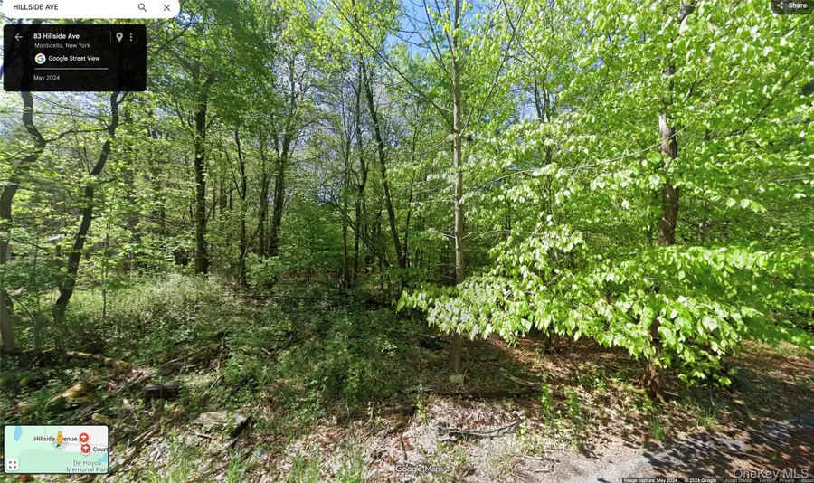 83 Hillside Avenue, Monticello, NY 12701 - Image #2