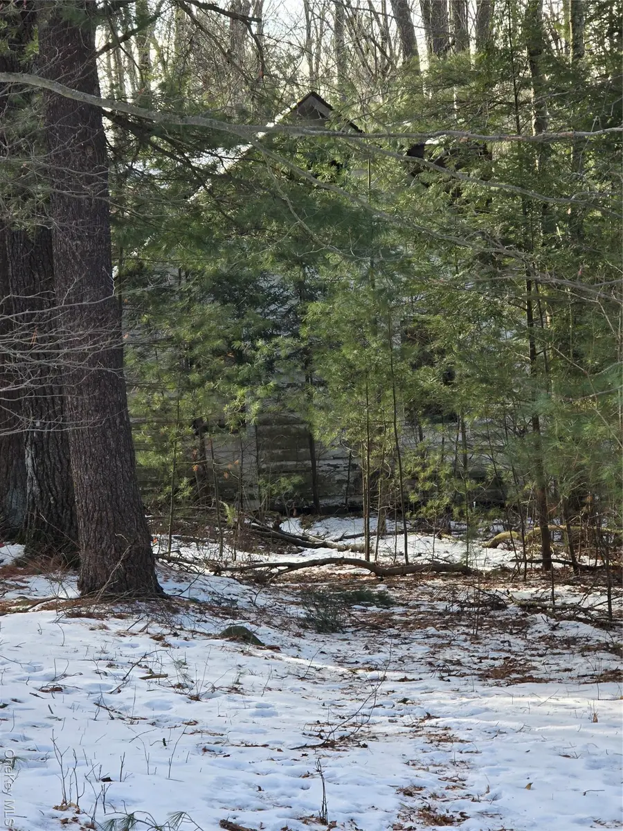 83 Hillside Avenue, Monticello, NY 12701 - Image #3