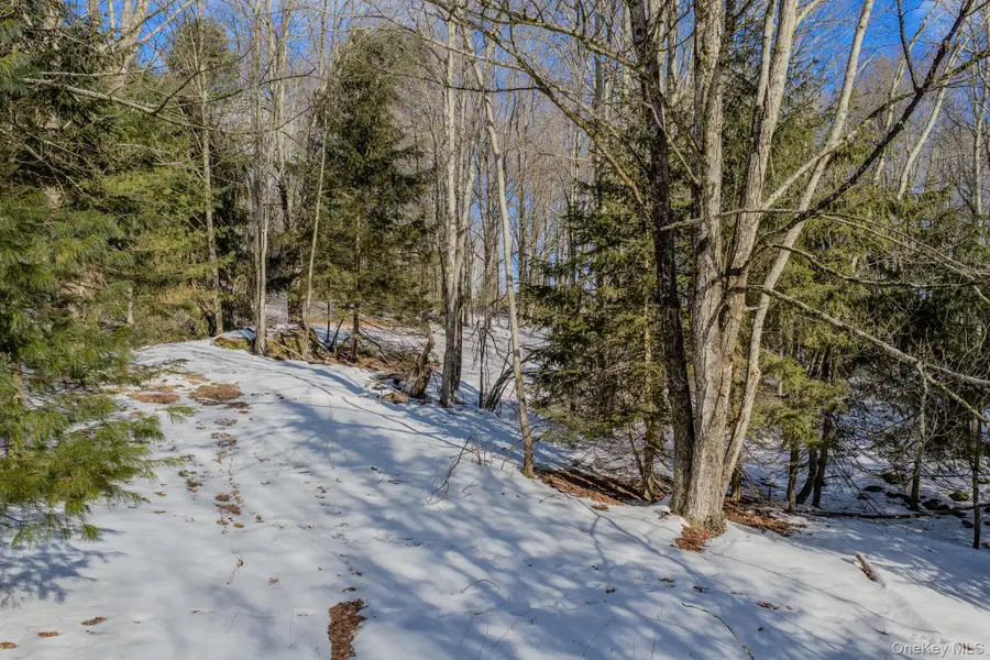 Soule Road, Bethel, NY 12720 - Image #3