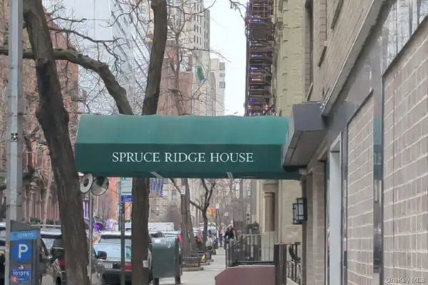 245 E 25th Street #15E, New York (Manhattan), NY 10010