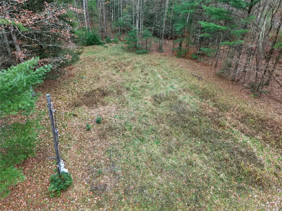 742 Peenpack Trail, Deerpark, NY 12780 - Image #3