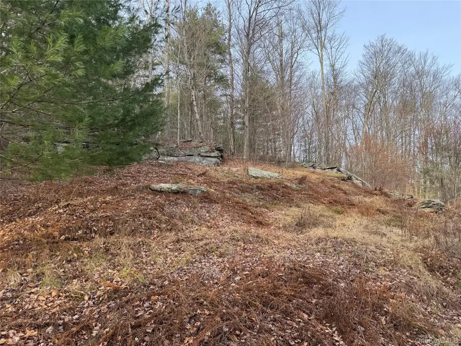 Hilltop Road, Monticello, NY 12701 - Image #2