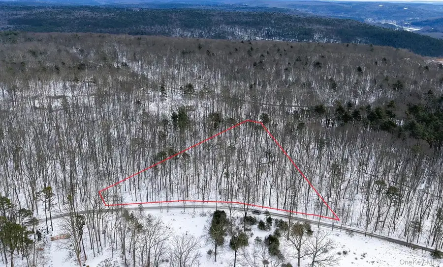 Purple Sage Drive, Barryville, NY 12719 - Image #2