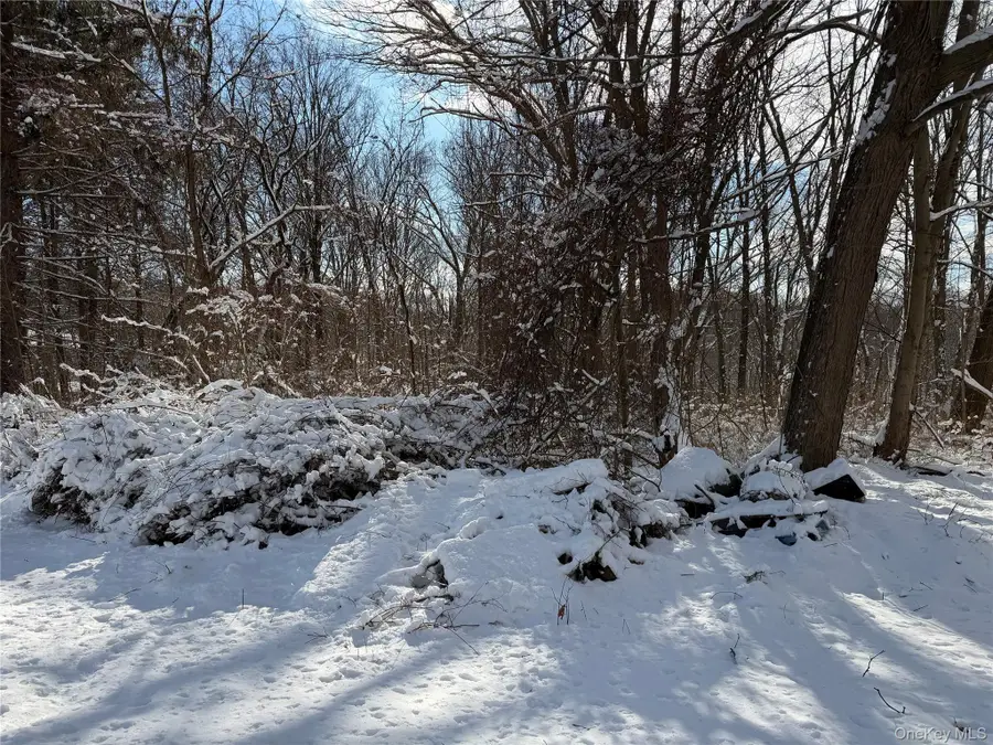 165 Fairfield Drive, Brewster, NY 10509 - Image #3