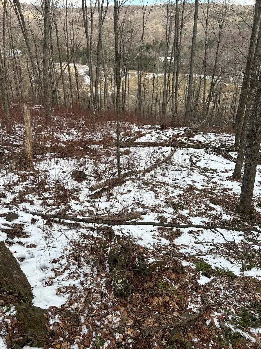 58 County Hwy 36 Kelly Corners-denver-vega Road, Middletown, NY 12445 - Image #2