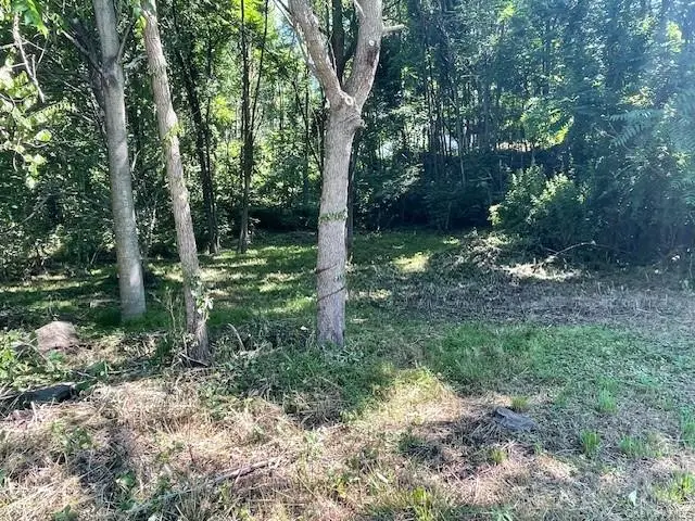 49 E Market Street, Hyde Park, NY 12538 - Image #2