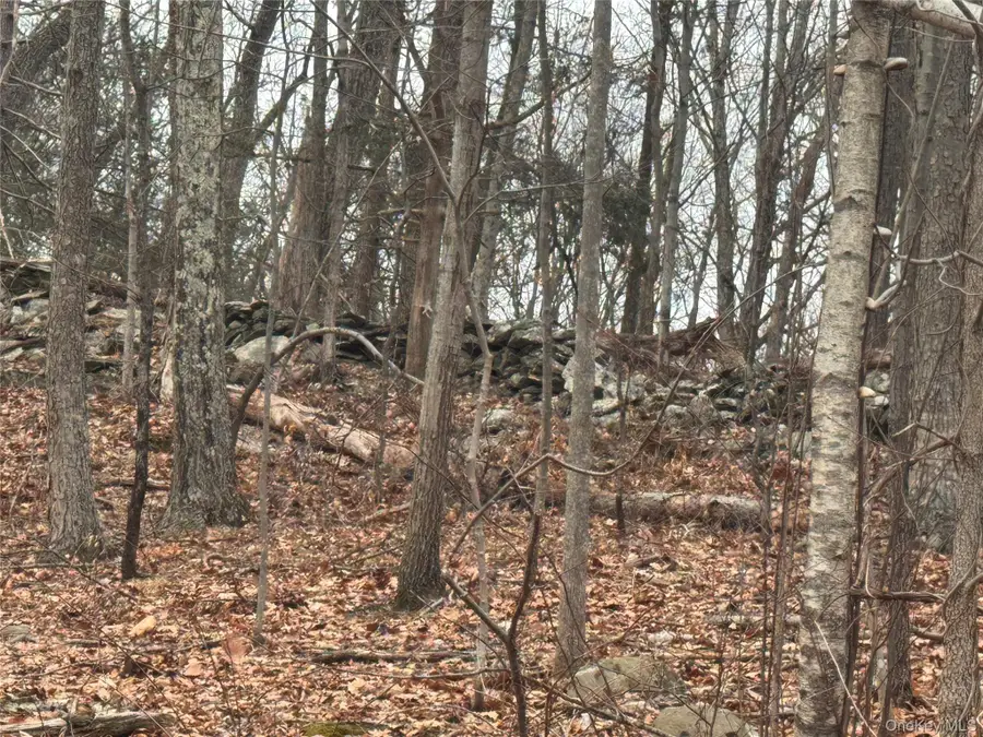 17 Vanessa Lane, Staatsburg, NY 12580 - Image #3