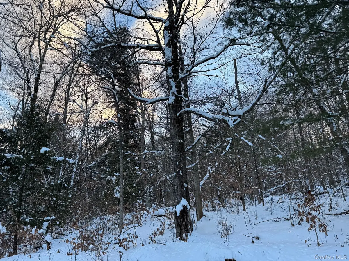 00 Starlight Road, Monticello, NY 12701 - Image #1