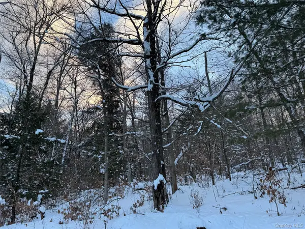 00 Starlight Road, Monticello, NY 12701