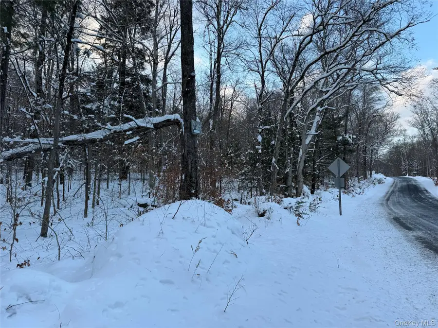 00 Starlight Road, Monticello, NY 12701 - Image #3