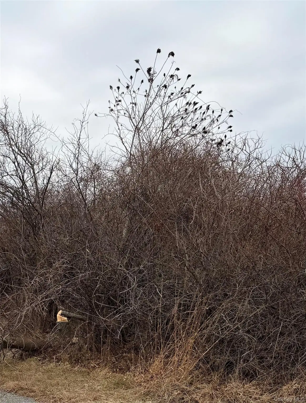 18 Homeward Lane, Montauk, NY 11954 - Image #1