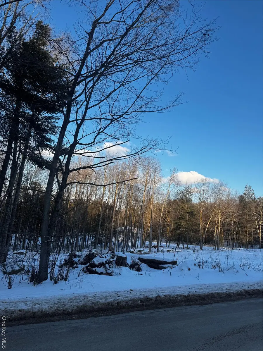 000 Drake Road, Neversink, NY 12765 - Image #3