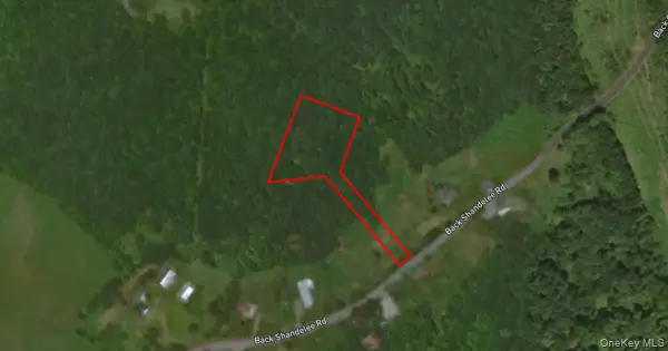 Lot 1 Back Shandelee Road, Livingston Manor, NY 12758