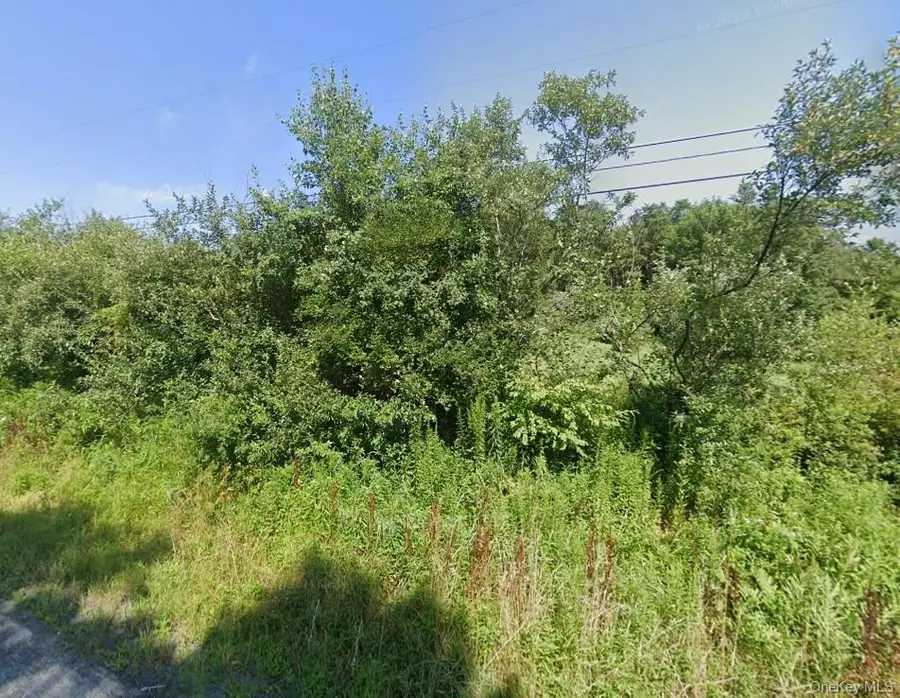 Lot 1 Back Shandelee Road, Livingston Manor, NY 12758 - Image #2