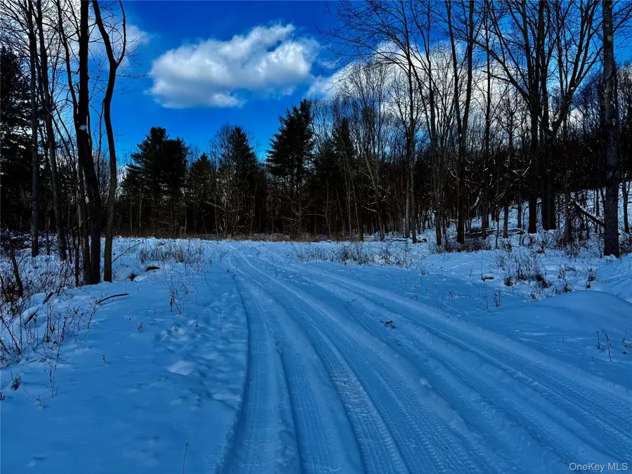 266 Pitts Road, Old Chatham, NY 12136 - #3