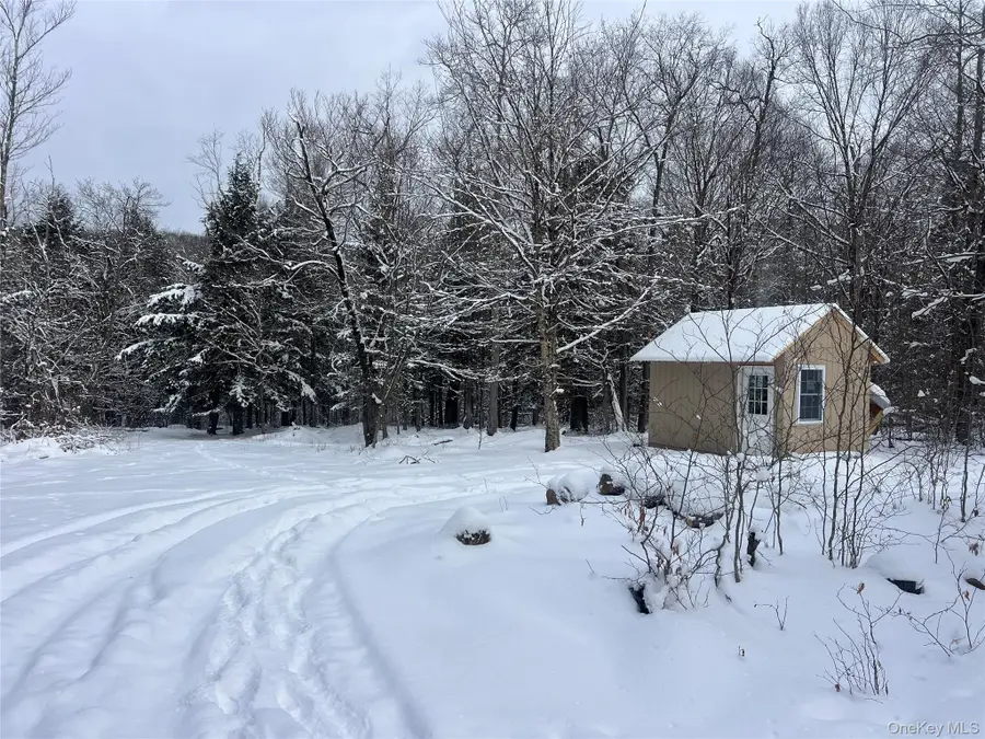 Methol Road, Hancock, NY 13783 - Image #3