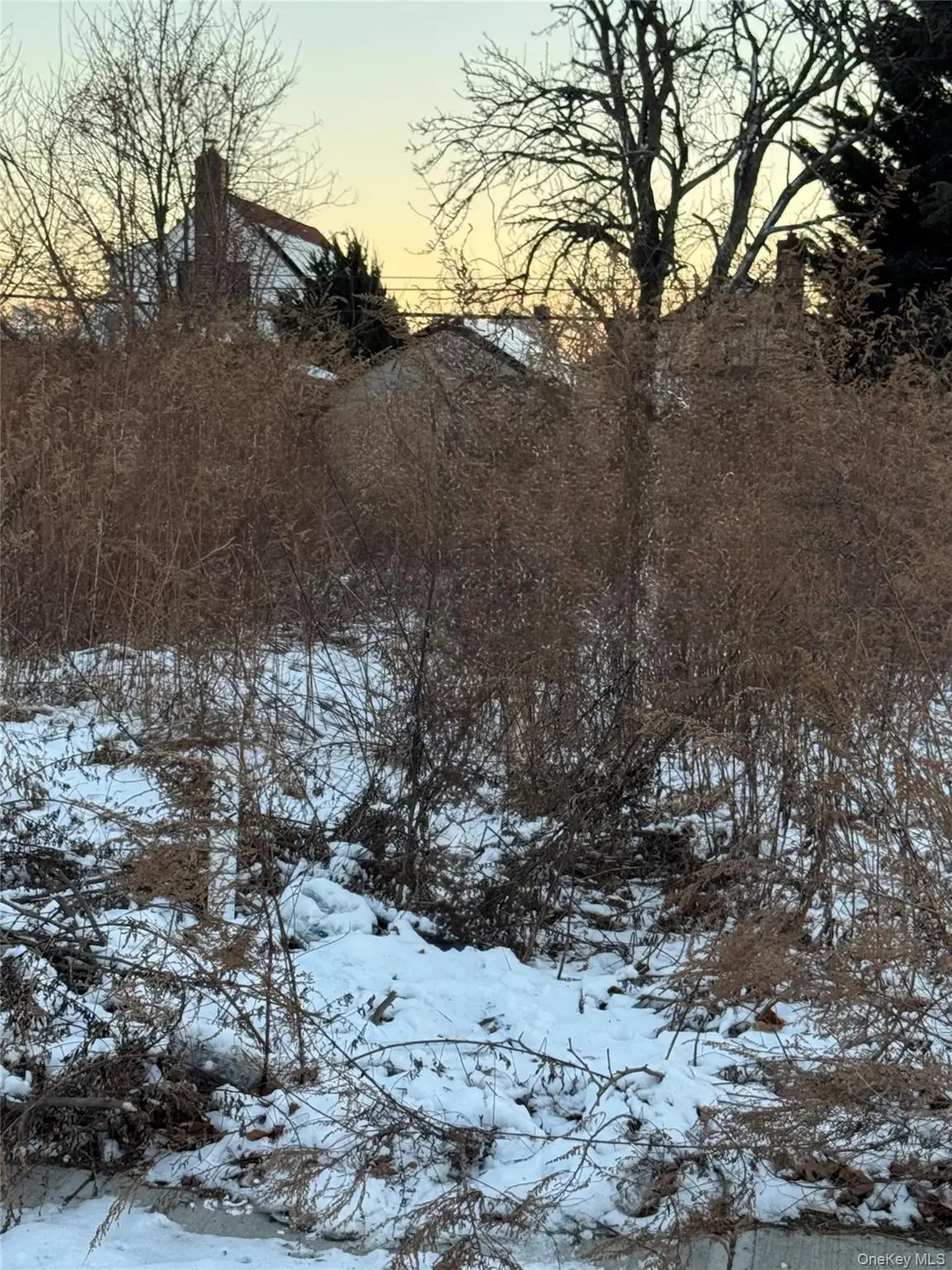 22510 113th Drive, Queens Village, NY 11429 - Image #1