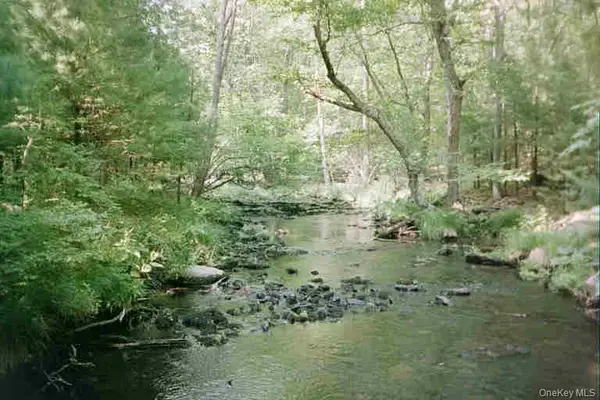 Lot 59.2 Lower Lumber Road, Glen Spey, NY 12737