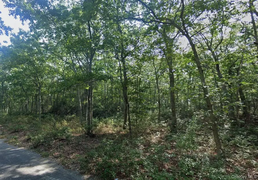 901 Old Sag Harbor Road, Water Mill, NY 11976 - Image #2