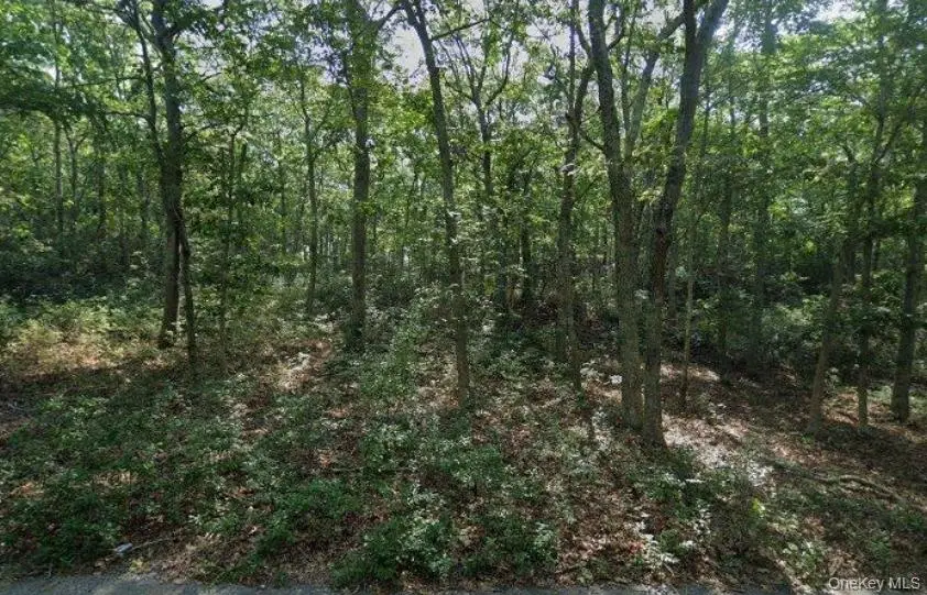 901 Old Sag Harbor Road, Water Mill, NY 11976 - Image #3