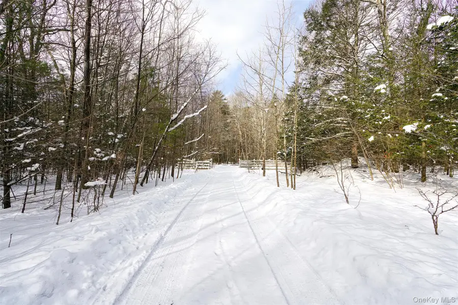 65 Cobble Creek Road, Saugerties, NY 12477 - Image #3