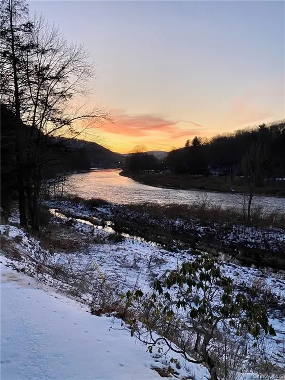 455 Peas Eddy Road, Hancock, NY 13783 - Image #3