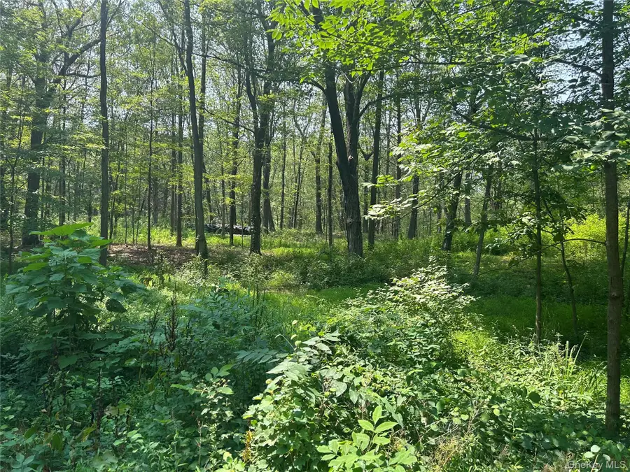 White Schoolhouse Road, Rhinebeck, NY 12572 - Image #2